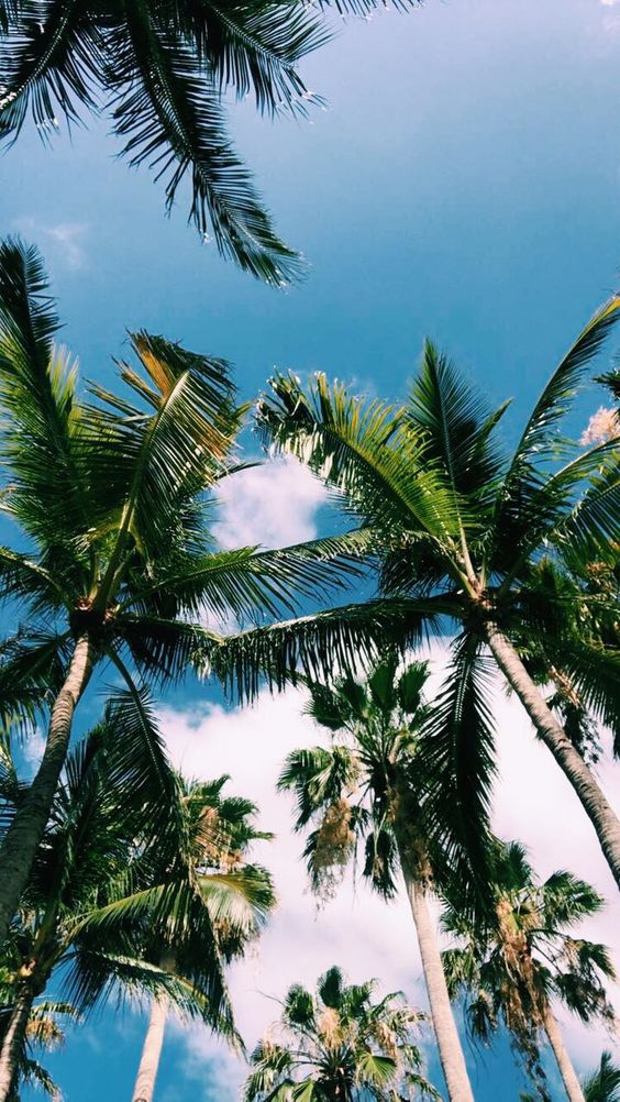 15b51cc189ff9d7e142571a63908476e