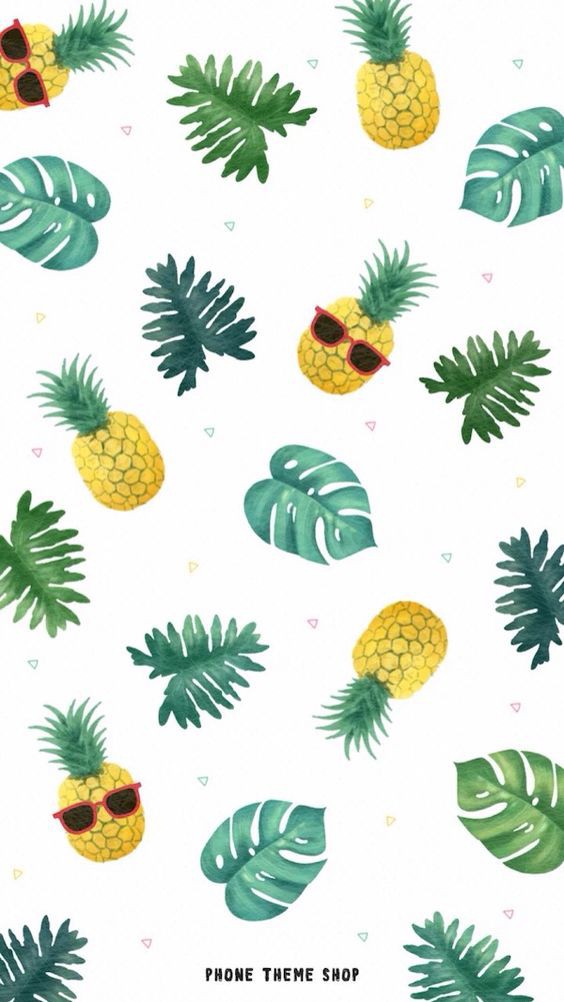 2f153dae034acbd5e44b91f8dfc658d8