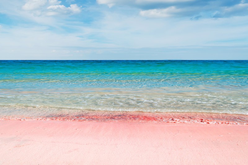 3.-Pink-Sands-Beach-Harbour-Island-Bahamas
