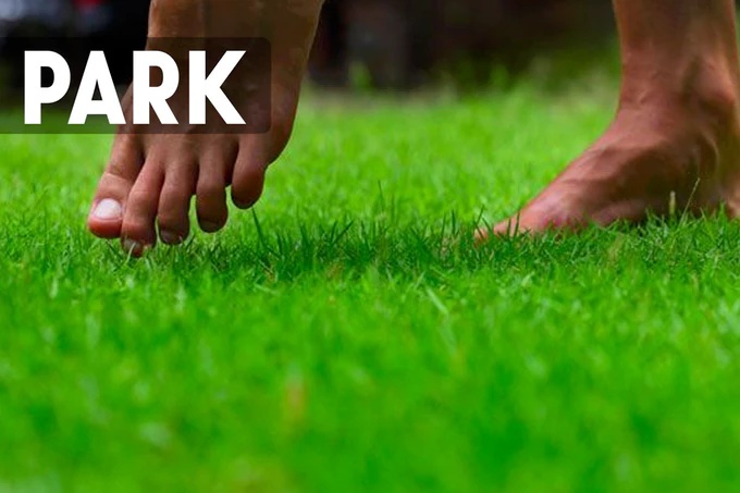 5959a0b7537a2e68fdedd8b9-13-orgin