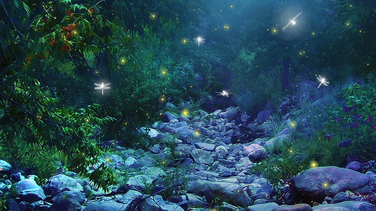 rainforestlumina.
