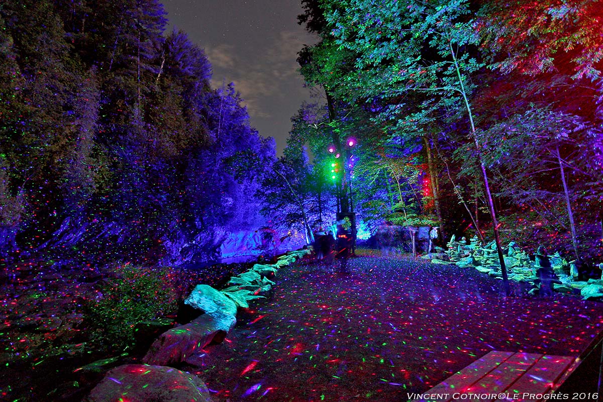 rainforestlumina.