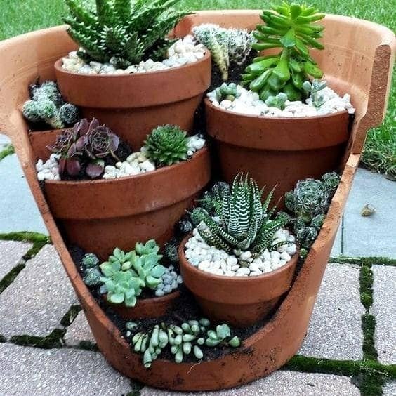 Someone Turned These Broken Pots Into A Beautiful Masterpiece Terrariums Just Like Alice In The Wonderland Girlstyle Singapore