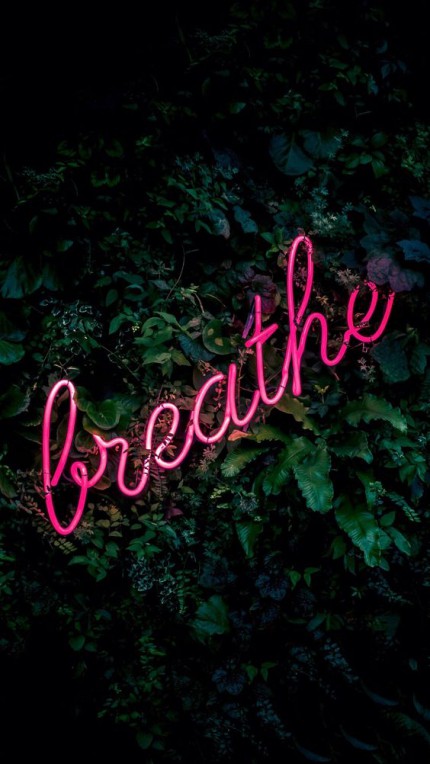 46b95f993b8b34a918517395b813df96