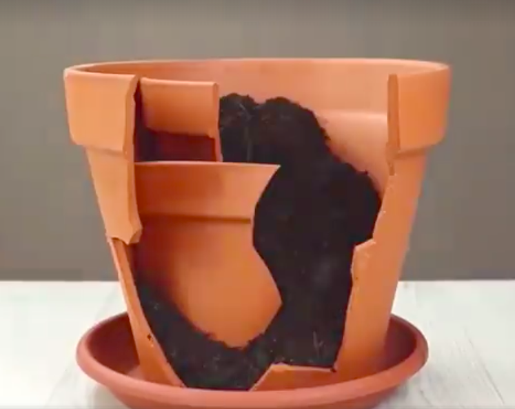 Screen Shot 2018-07-05 at 2.05.51 AM