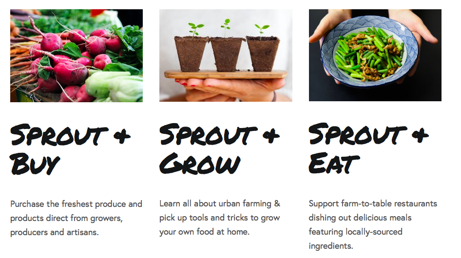 Screen Shot 2018-07-07 at 9.33.59 AM