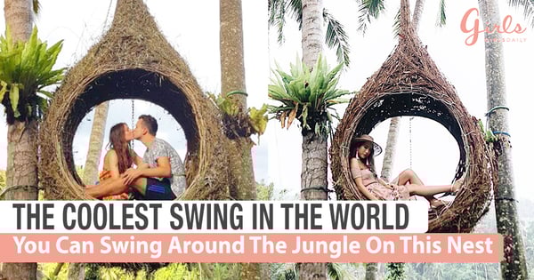 You Can Swing Like Tarzan And Jane From These 'Nests'!