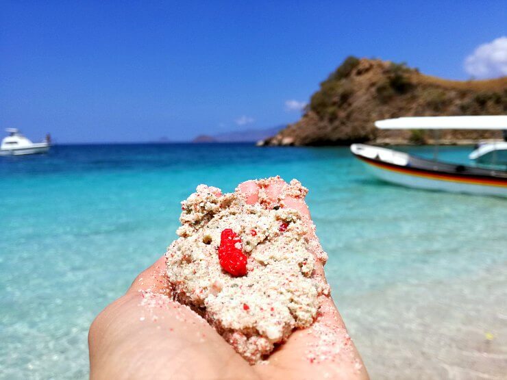 Point And Shoot + Wanderlust