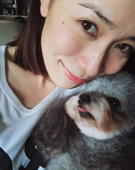 螢幕快照-2018-06-28-下午3.24.14