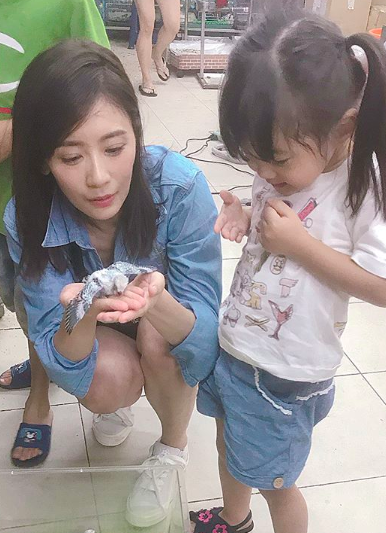 Screen Shot 2018-08-15 at 9.51.26 AM