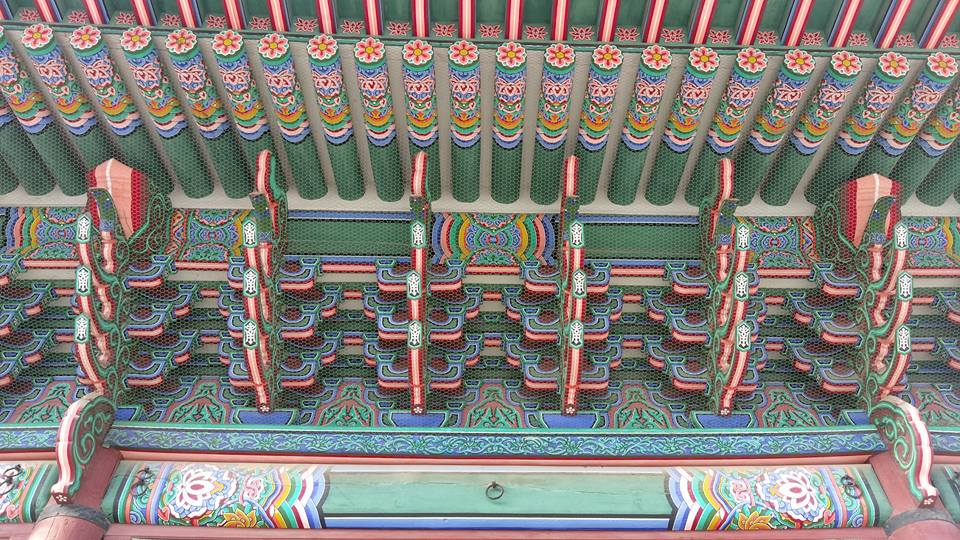 14484986_1176637235731458_2117742382473980521_n