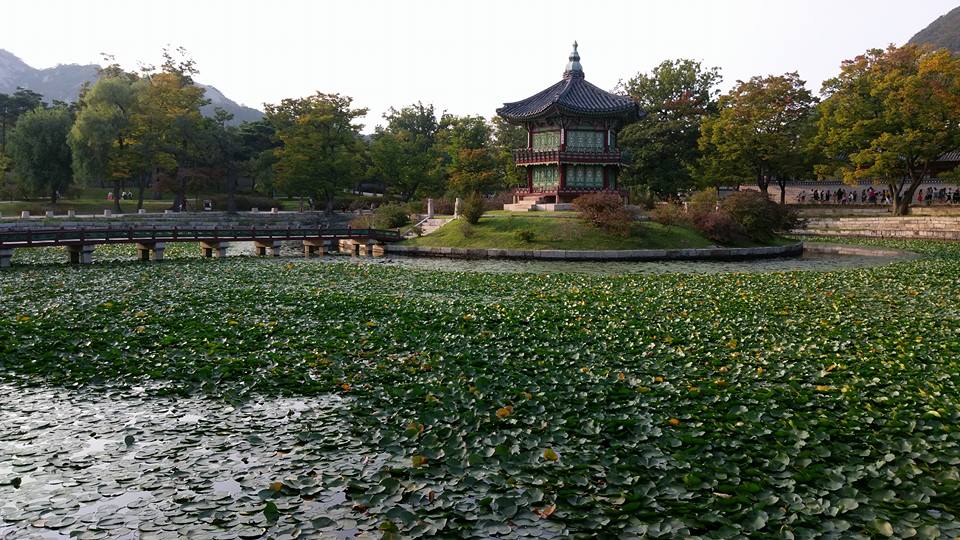 14633034_1176636989064816_8649613644258292368_n