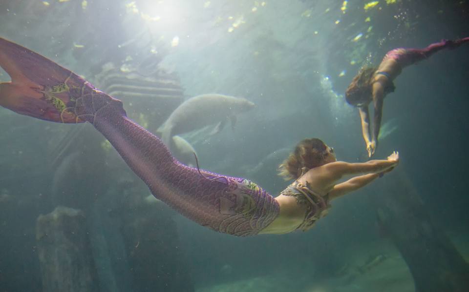 Syrena- Singapore's First Mermaid