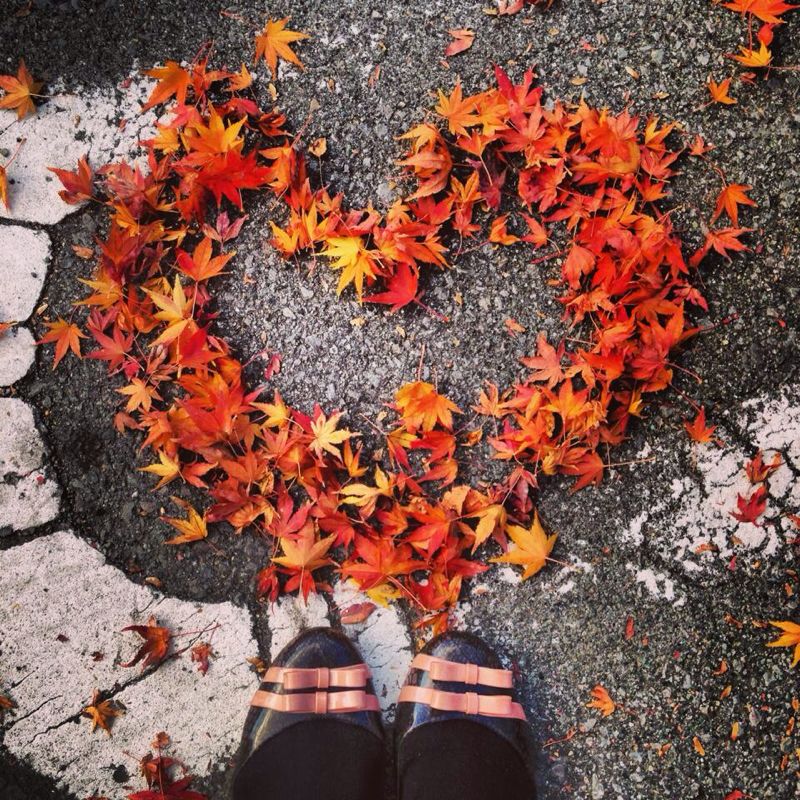 397dd33b-4dba-443e-a1be-e81efb0ae605