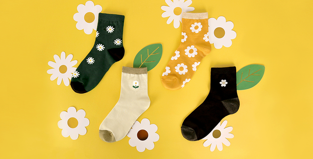 39978158_2210020105908517_1673971548089745408_n