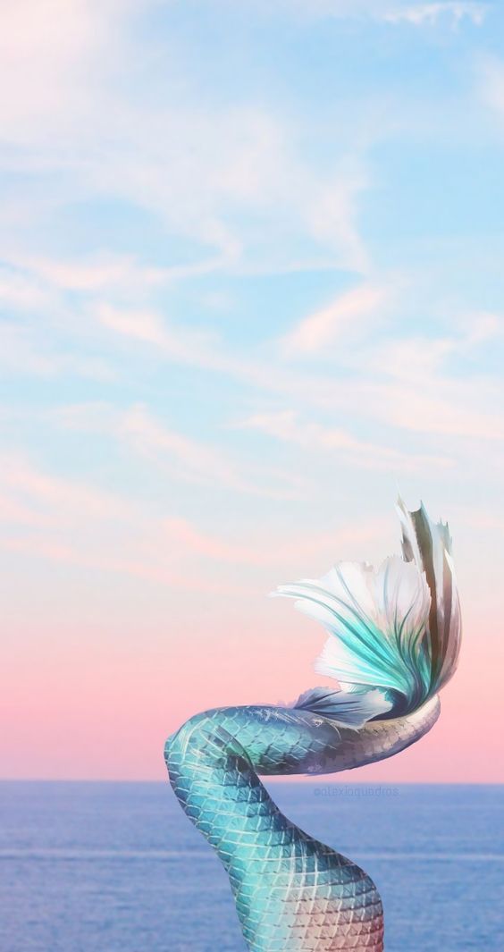 4547054a145f9b2a75ed5b7e7a31e939