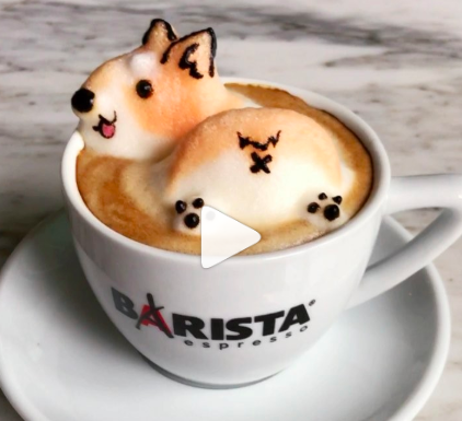 Screen Shot 2018-09-20 at 10.18.56 AM