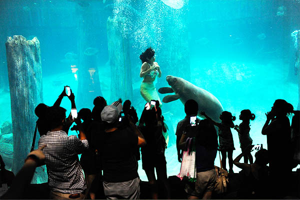 Wildlife Reserves Singapore