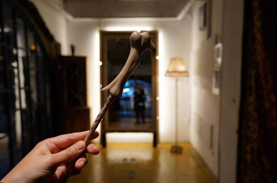 46319949_10156708058042492_5618503829524840448_n