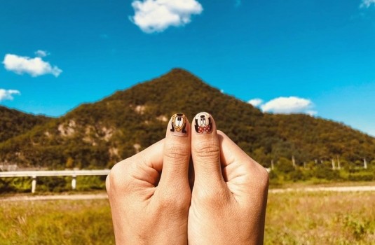 535x350_bbcf43bcda7f87cc46f2926438c0f40c