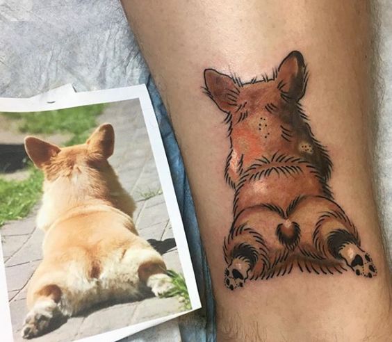 90514c52f186b295e36a5e4eed038113