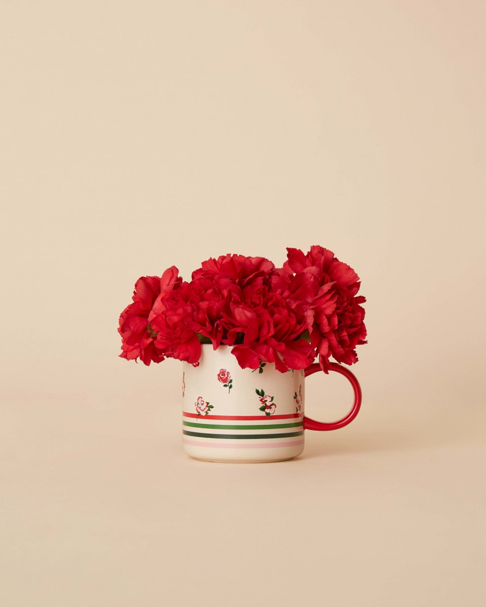 still-life-sbux-holiday-rna-01-26970-01
