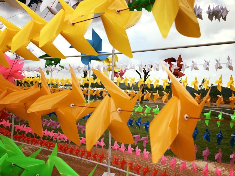 26814901_335440623639685_8059960403219773504_n