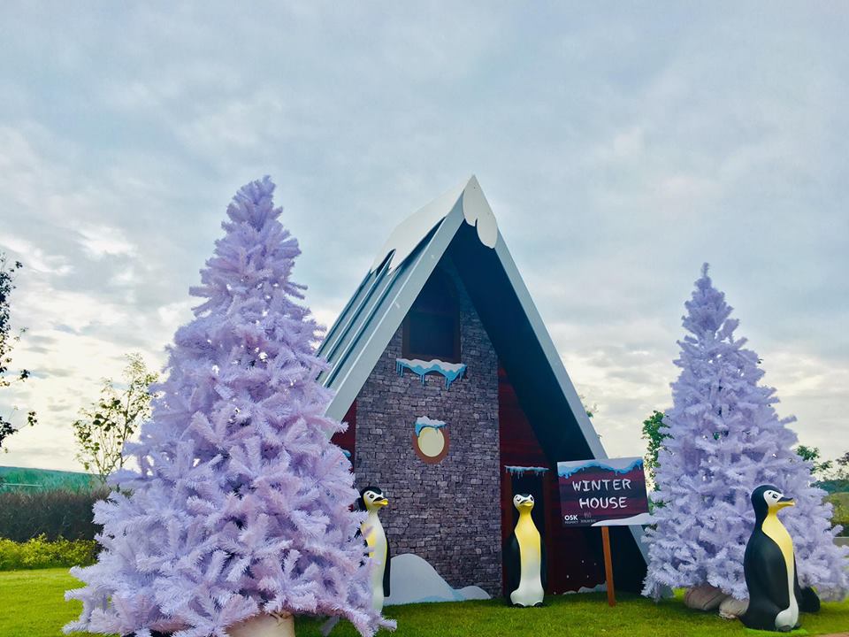 47221550_772243239816665_412474477125828608_n-1