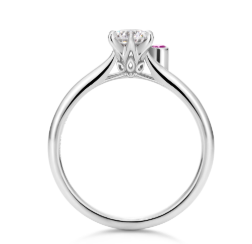 Screen Shot 2018-12-20 at 10.17.21 PM