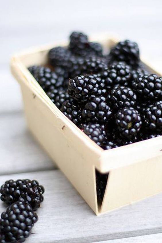 aec0ad8aff95e74e4dbc7e62fa2e71c2