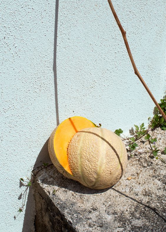 ce030f2e299183d3f4723cee23d61447