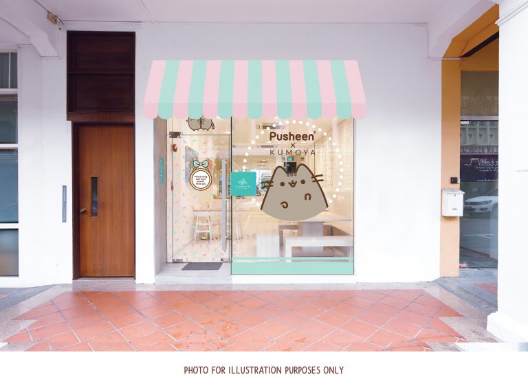 pusheenXkumoya_2-768x568