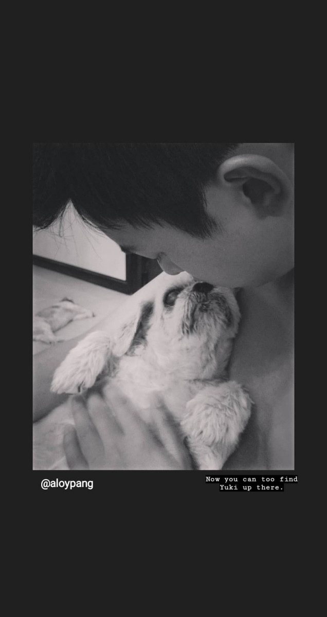 1963329858572331551_18586764