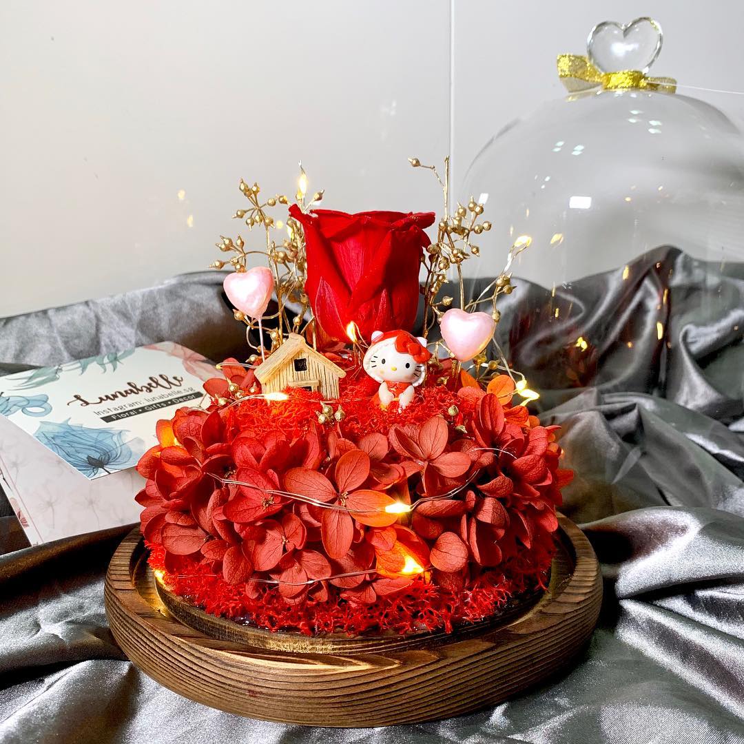 43216381_139228533742287_7681805006193585134_n