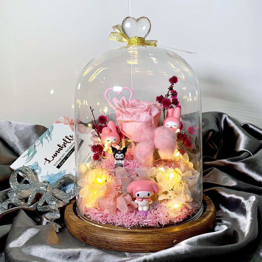 47584831_462228747641109_284516753192827748_n