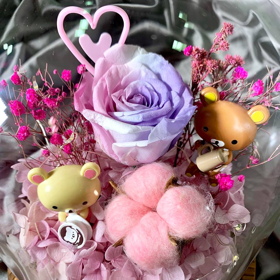 48379620_368445773909658_6334372017596268544_n