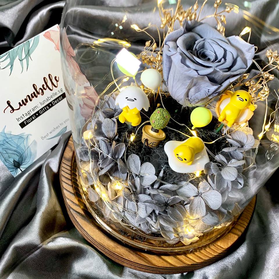 48406187_371428163611419_7236271667507363840_n