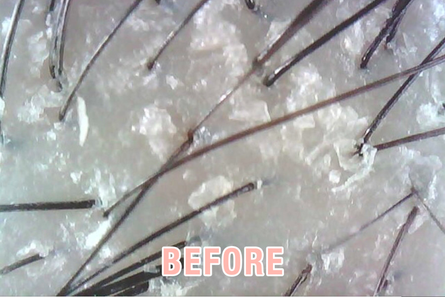 Screen Shot 2019-01-25 at 6.09.46 PM