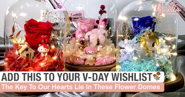 The Key To Our Hearts Lies In These Sanrio & Disney Enchanted Rose Domes ♡