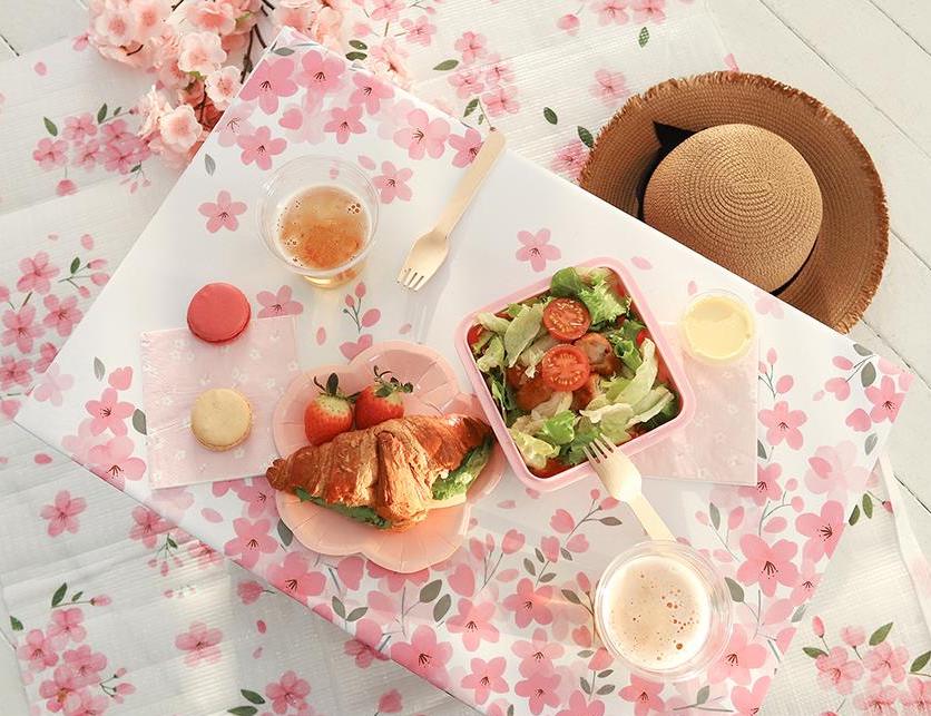 51847189_1936076396519281_6846115975050297344_n