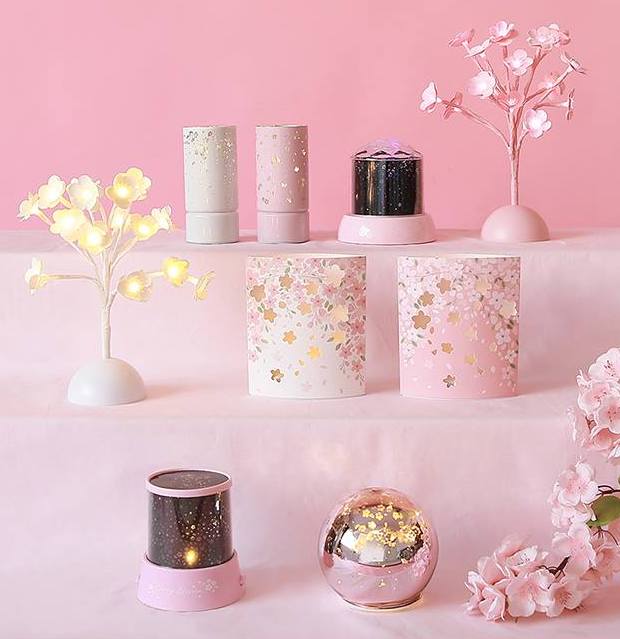 51952956_1936079339852320_7370211665742135296_n