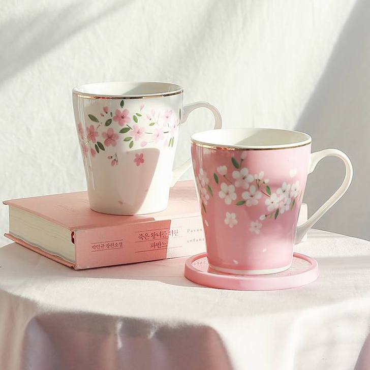 52005958_1936076086519312_8234363668427440128_n