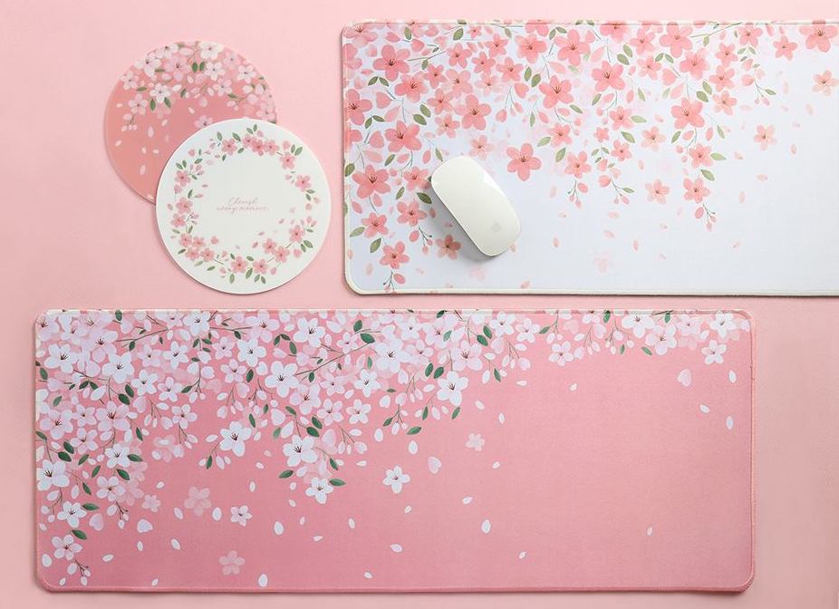 52306267_1936077176519203_4661163723849728000_n