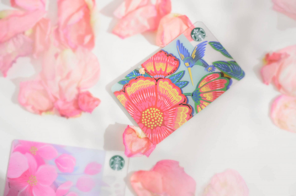 52320365_10161180504315136_2953312923973320704_o