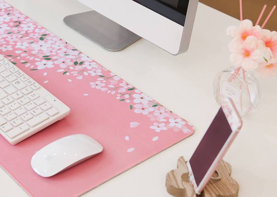 52598910_1936077139852540_8961918153273638912_n