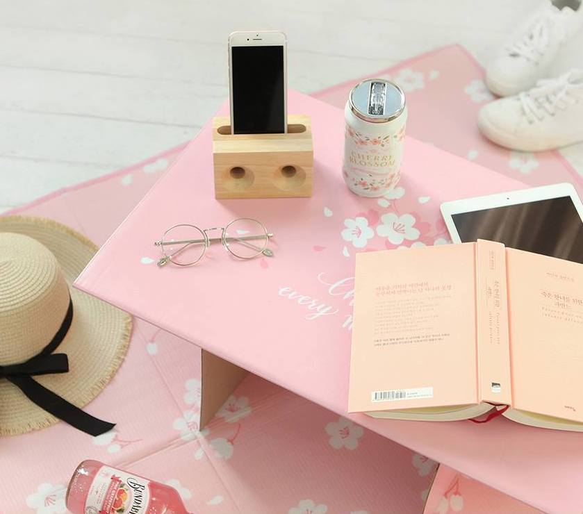 52605197_1936076293185958_4996843099096350720_n