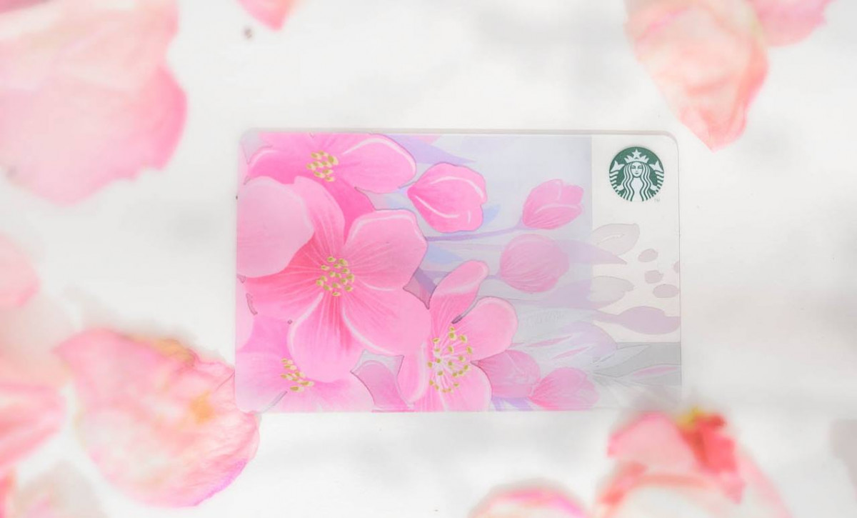 52634652_10161180504260136_2382063349979414528_o