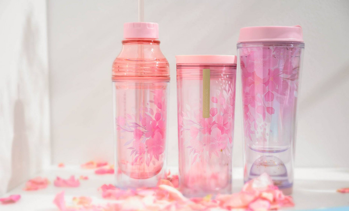 52816963_10161180504215136_8165421914248970240_o