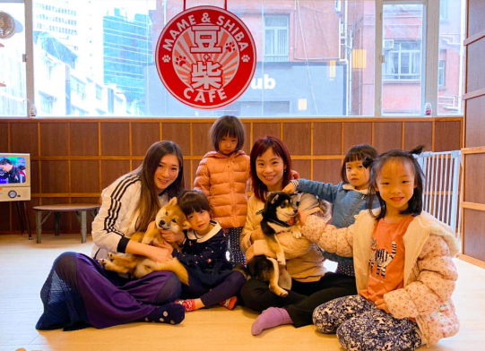 Screen Shot 2019-02-15 at 3.56.56 PM