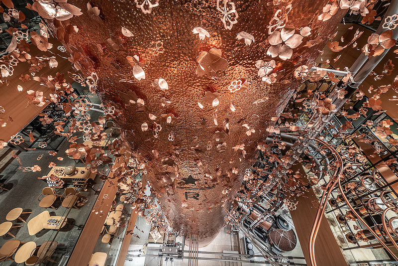 46531673024_0359eab638_c